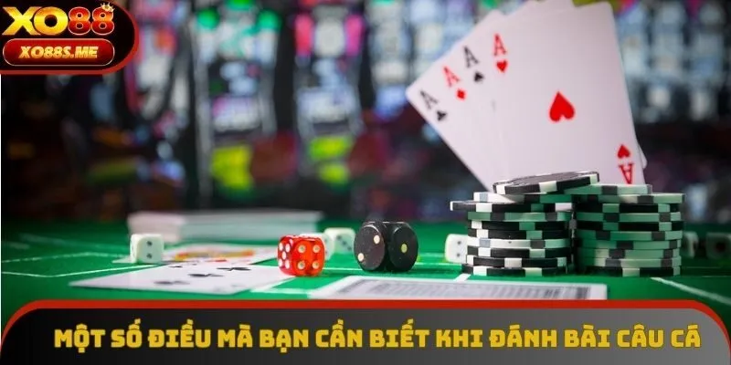 Một số điều mà bạn cần biết khi đánh bài câu cá